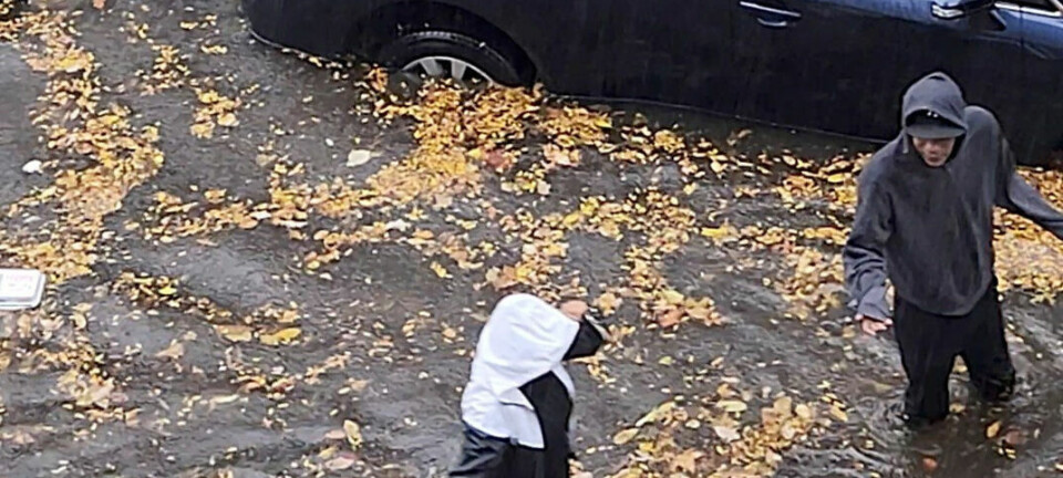 Voldsom regn i New York koster to personer livet