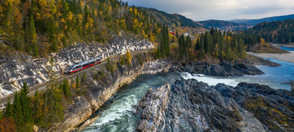 Teenager fundet død i vandet