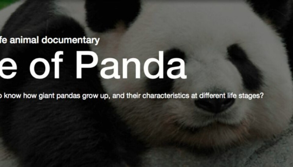 Napflix er Netflix for folk der gerne vil sove