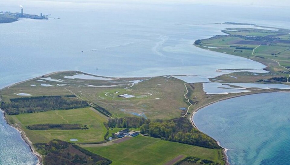 Dansk ø solgt: Så meget kostede den! Øen Egholm ud for sjællandske Skælskør blev i sidste ende også solgt til et millionbeløb nær udbudsprisen. Foto: Ivan Eltoft Nielsen.