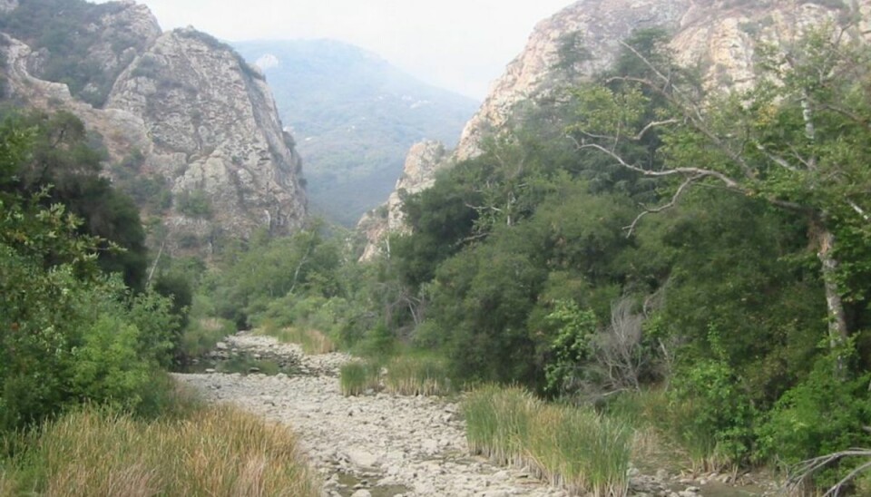 De mange skyderier fandt sted i The Malibu Creek State Park, kendt fra både film og tv. Foto: Foto: Wikimedia Commons/Tobin/tobo, Rochester, NY, USA.