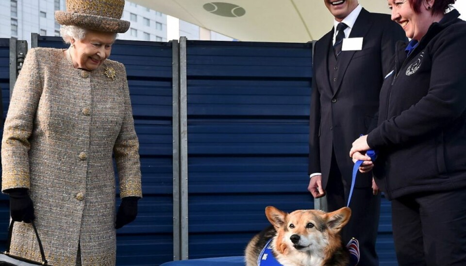 Firbenede royale: Disse kongelige har hund