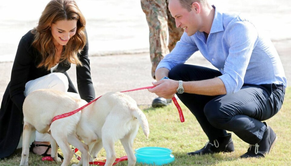 De royale bliver konkurrrencemennesker i køkkenet Kate og William er oftest set smilende, men i køkkenet kan de to blive ægte kamphaner. Foto: Scanpix