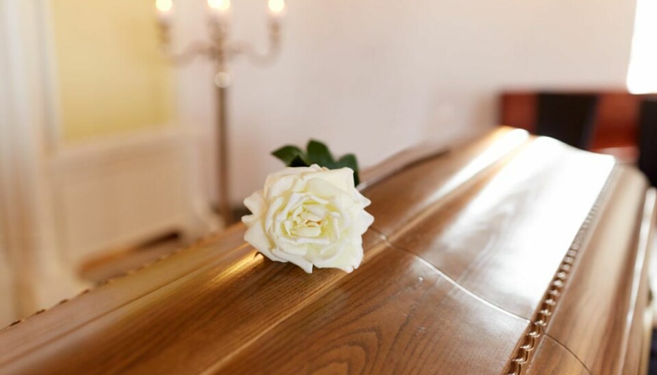 Skærmkendis død: Blev blot 26 år Den kendte kvindelige streamer Lannia ‘Ohlana’ Ohlana er død blot 26 år gammel. Foto: Colourbox