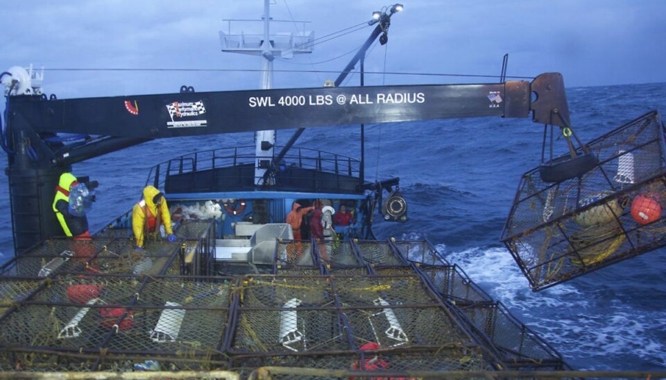 Mahlon Reyes har siden 2012 medvirket i reality-serien Deadlies Catch, hvor man følger livet ombor på krabbebåde under fiskeri i det iskolde og livsfarlive Beringshav ud for Alaska. Foto: Scanpix/Discovery Channel via AP