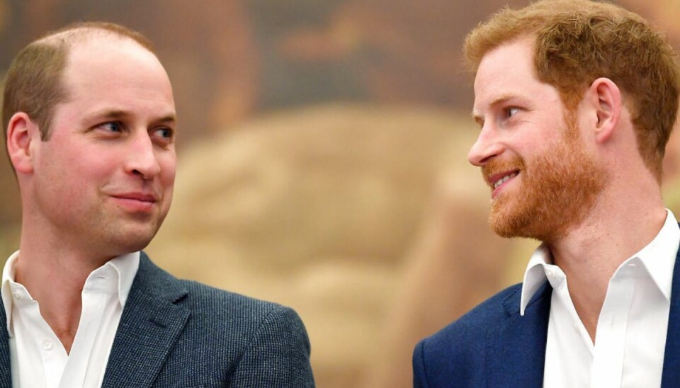 Diana forener Harry og William
