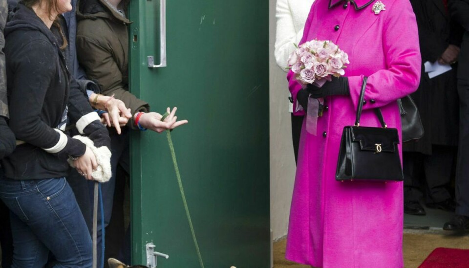 Dronning Elizabeth nærer stor kærlighed til corgi-racen. Foto: Scanpix