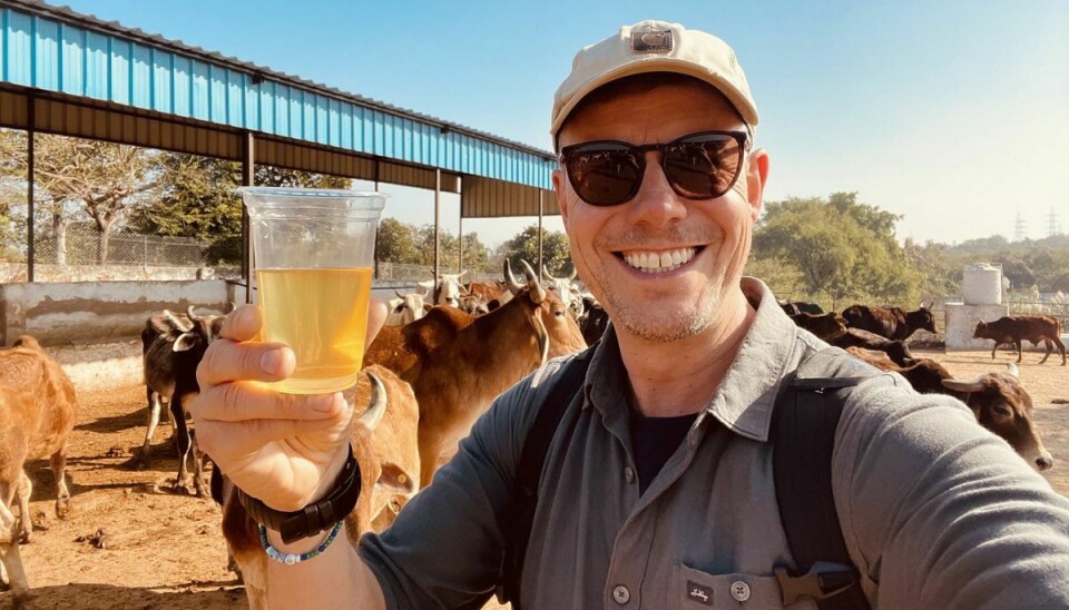 Morten Kirckhoff er født i 1971 i København. Den 52-årige globetrotter har rejst i mere end 110 lande. Her ses han i Indien, hvor han i 'Nul stjernes' ånd skulle sige ja til at drikke urin fra en ko. (PR-foto).