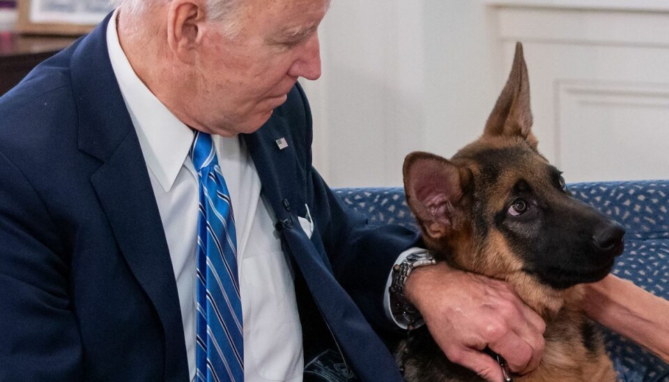 Her ses Joe Biden sammen med sin hund Commander, som har for vane at bide sikkerhedsvagterne.