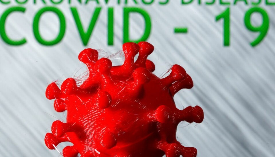 Død med coronavirus Skuespilleren Lynn Kellogg er død med coronavirus. (Foto: Dado Ruvic/Ritzau Scanpix)