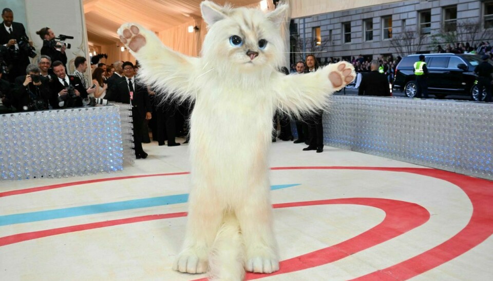 Jared Leto ankom til Met Gala iført et enormt kattekostume som en hyldest til Karl Lagerfelds kat, Choupette.