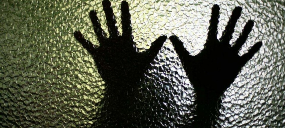 Mand dømt i uhyggelig sag